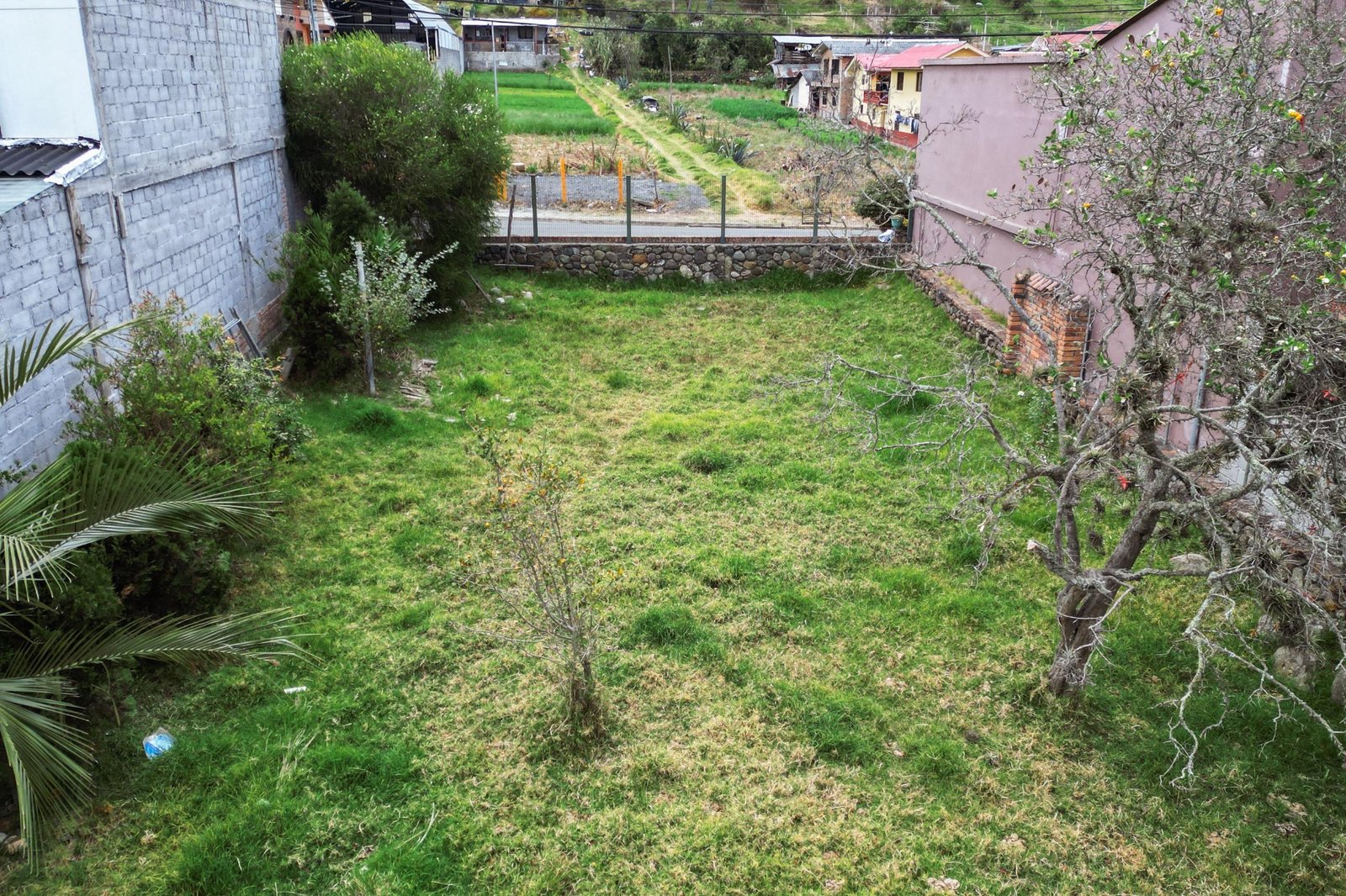 Imagen 4